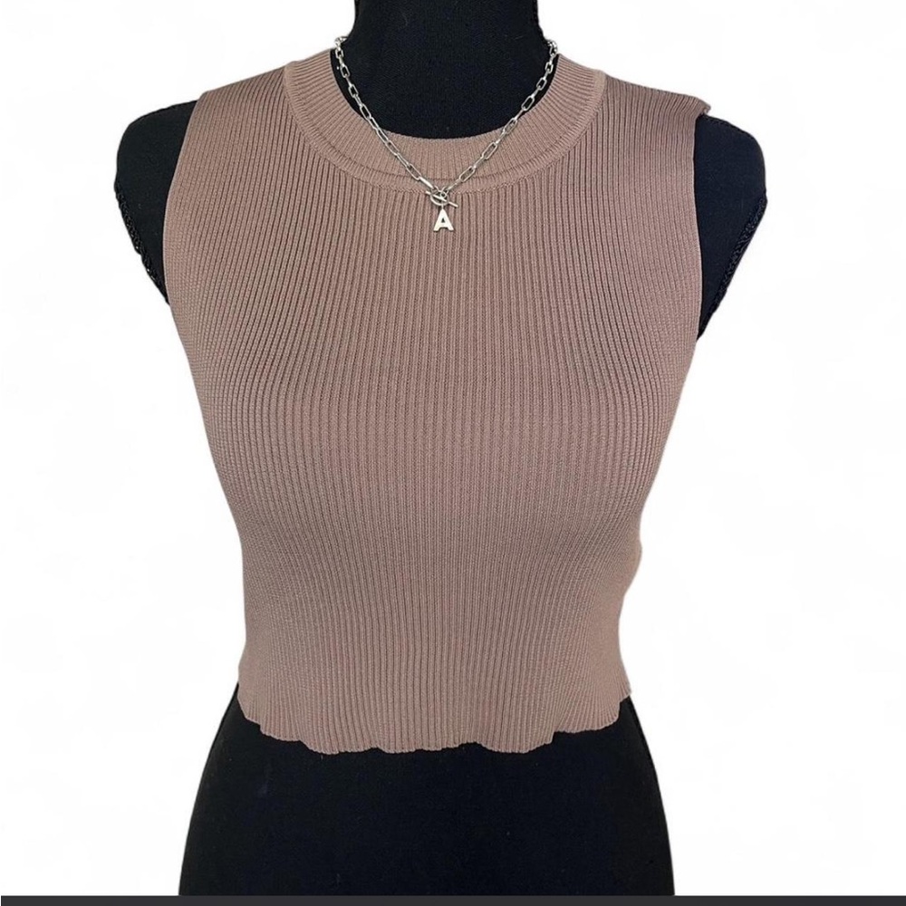 Sincerely Jules Brown Ribbed Crop Top